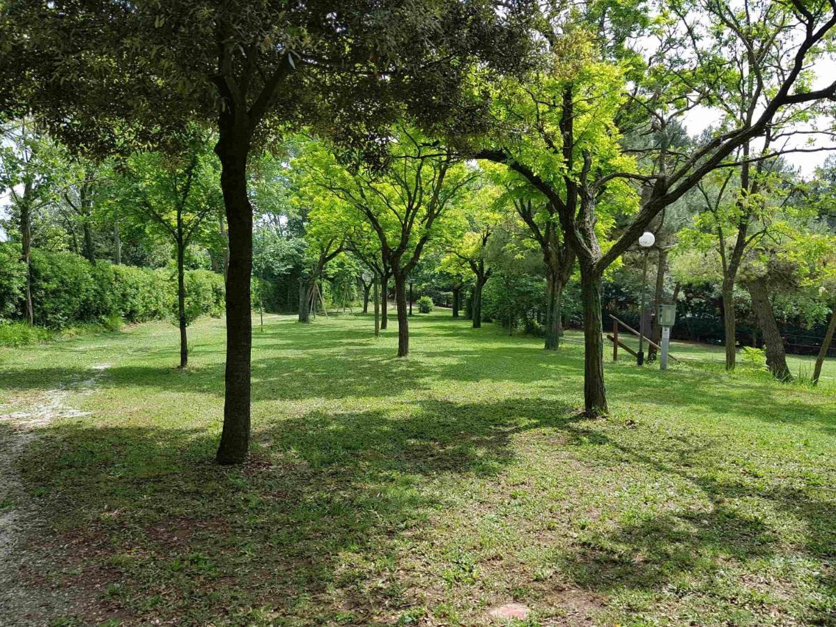 Camping Paradiso เปซาโร ภายนอก รูปภาพ